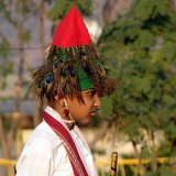 Picasa 2.6