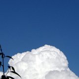 Picasa 2.0