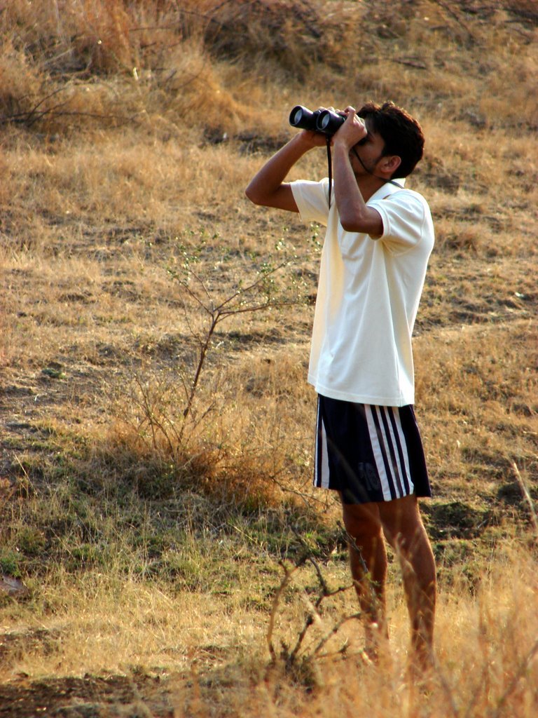 Picasa 2.6