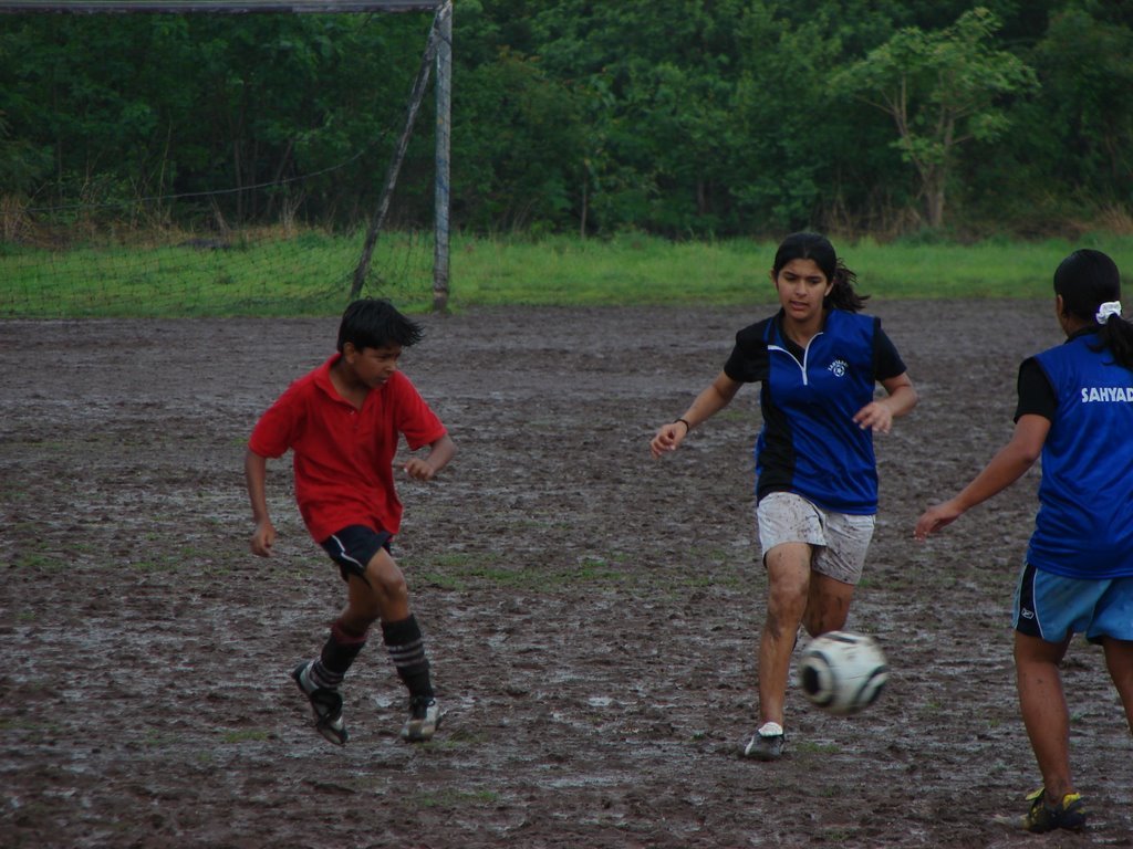 Picasa 2.7