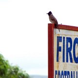 Picasa 2.6