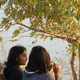 Picasa 2.7