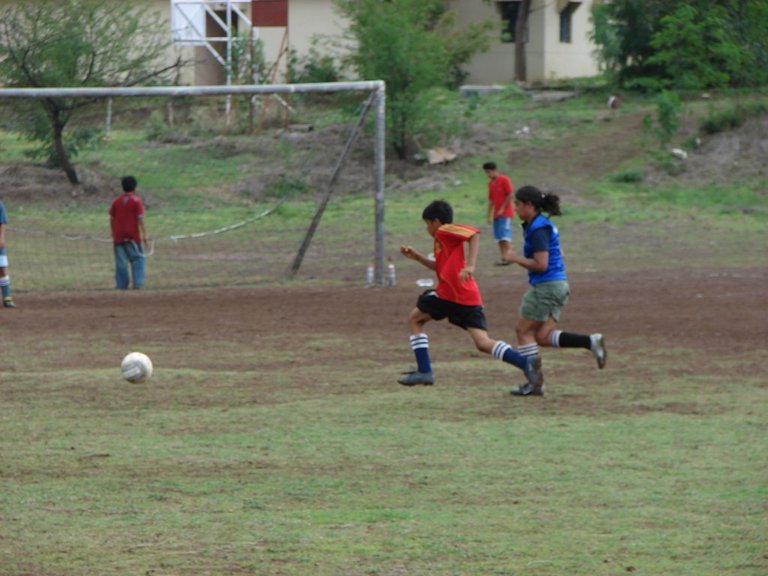 Picasa 2.7