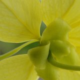 Picasa 2.7