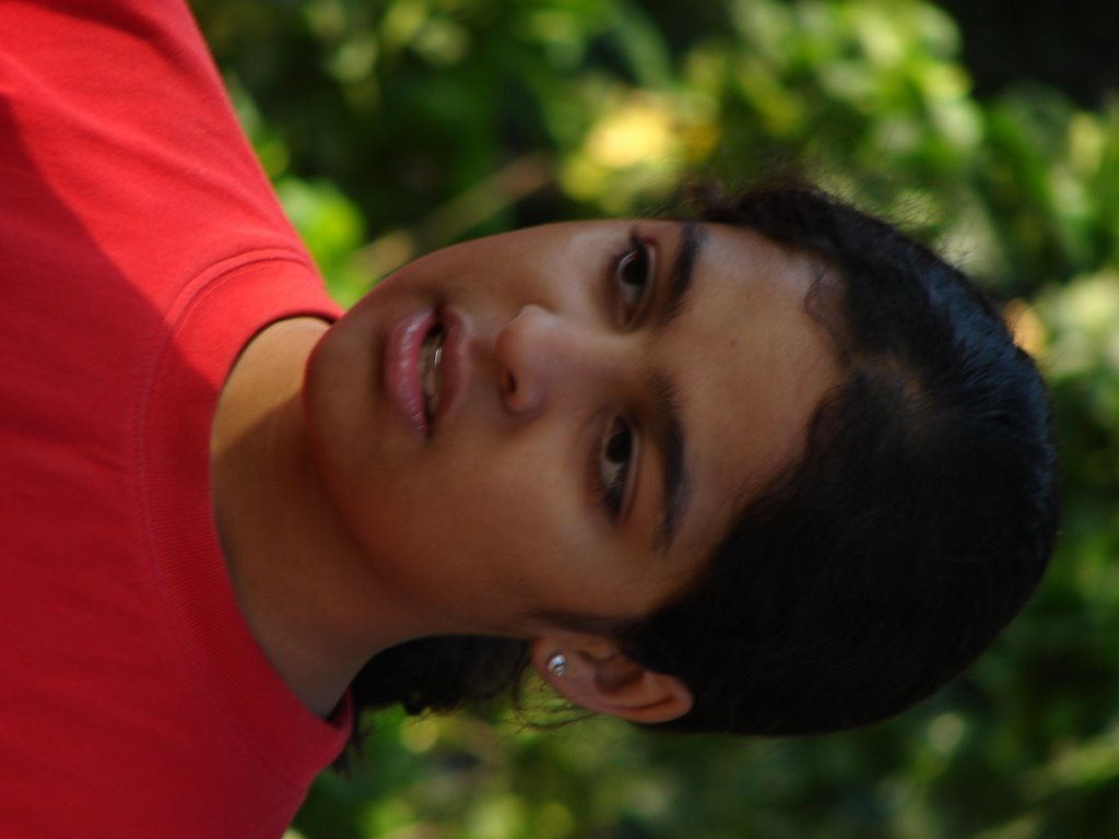Picasa 3.0