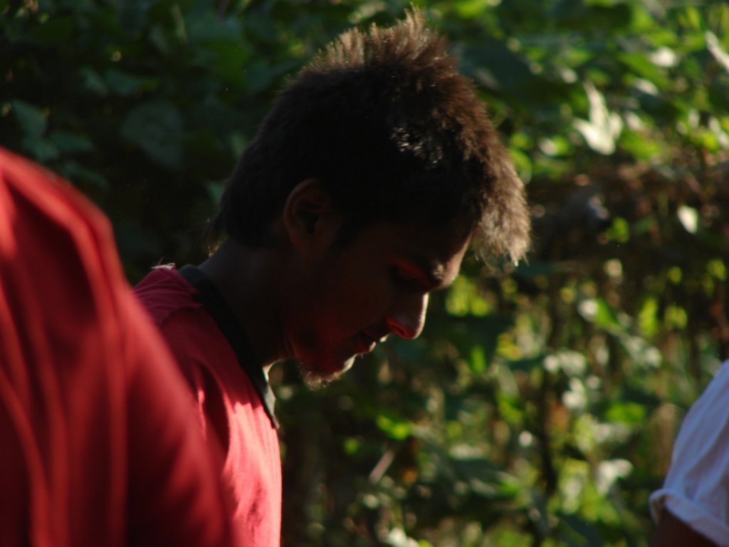 Picasa 3.0