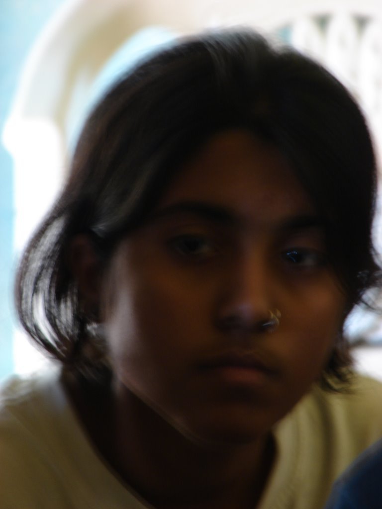 Picasa 3.0