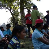 Previous image