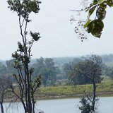 Previous image