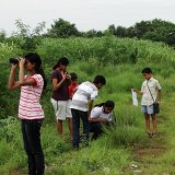 Previous image
