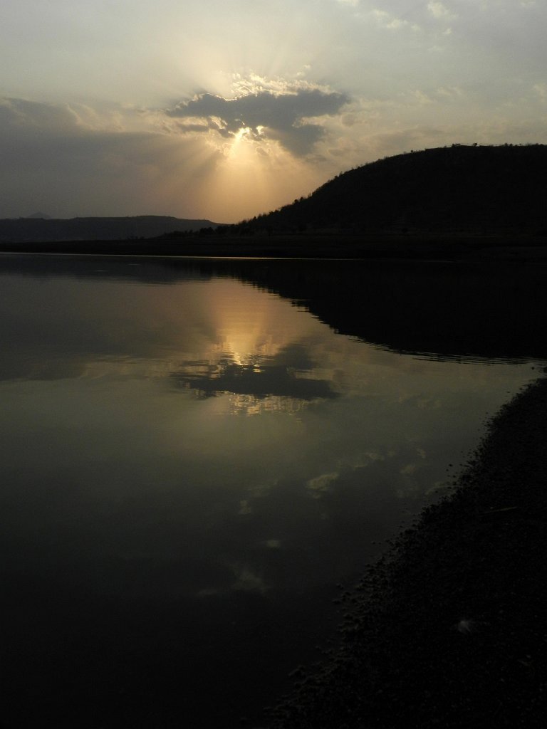 Picasa