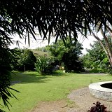 Picasa