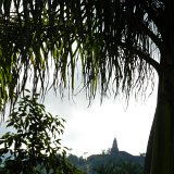 Picasa