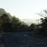 Next image