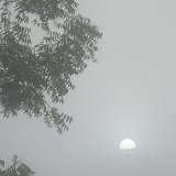 Next image