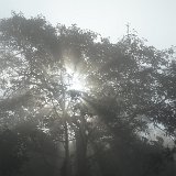Next image