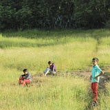 Previous image