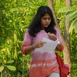 Previous image