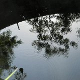 Next image